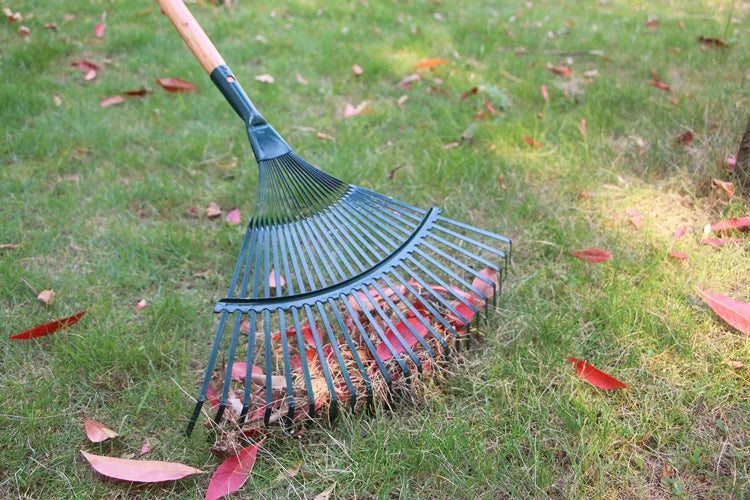 Rake