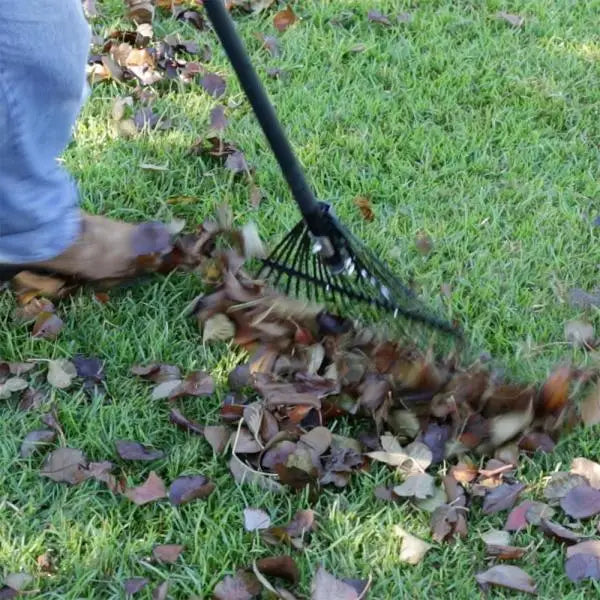 Rake